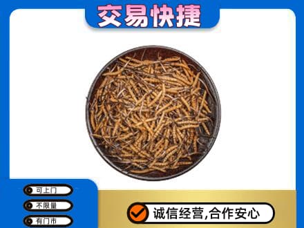 甘孜州乡城高价回收散虫草